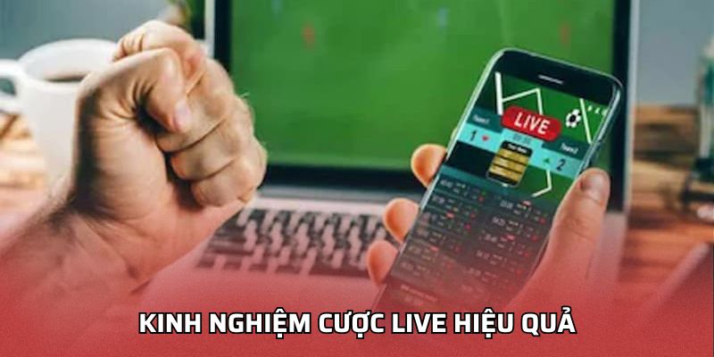 kinh nghiệm cược live hiệu quả