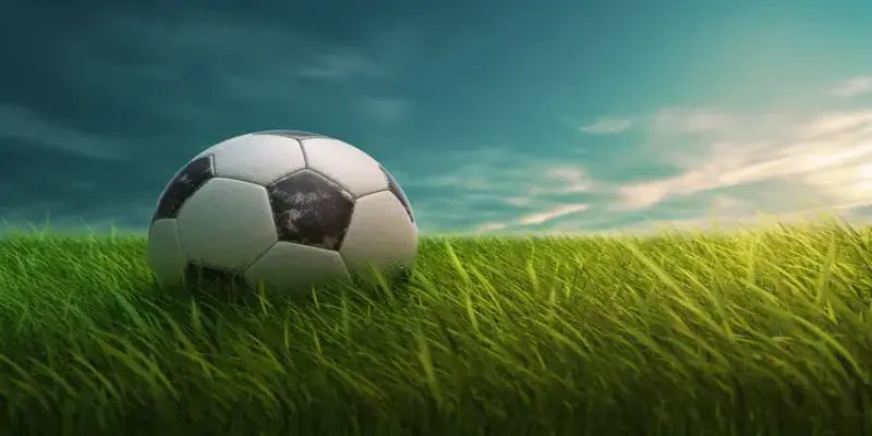 Chuyên mục thể thao KO66 luôn thu hút đông đảo khách hàng